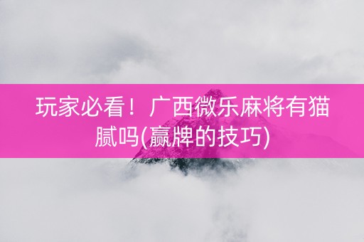 玩家必看！广西微乐麻将有猫腻吗(赢牌的技巧)