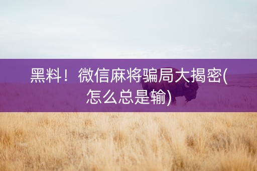 黑料！微信麻将骗局大揭密(怎么总是输)