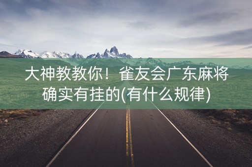 大神教教你！雀友会广东麻将确实有挂的(有什么规律)