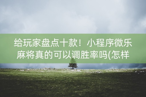 给玩家盘点十款！小程序微乐麻将真的可以调胜率吗(怎样设置才容易赢)