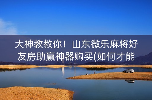 大神教教你！山东微乐麻将好友房助赢神器购买(如何才能打赢)