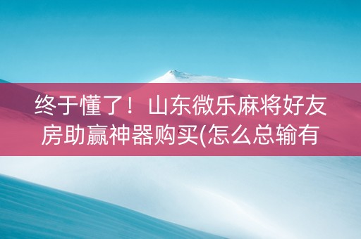 终于懂了！山东微乐麻将好友房助赢神器购买(怎么总输有什么猫腻)