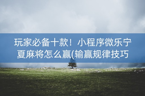 玩家必备十款！小程序微乐宁夏麻将怎么赢(输赢规律技巧)