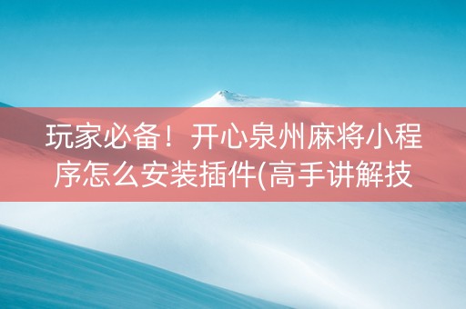 玩家必备！开心泉州麻将小程序怎么安装插件(高手讲解技术)