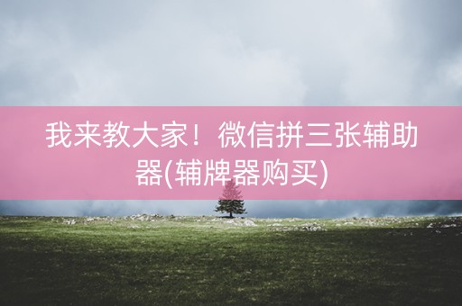 我来教大家！微信拼三张辅助器(辅牌器购买)