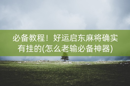 必备教程！好运启东麻将确实有挂的(怎么老输必备神器)