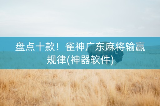 盘点十款！雀神广东麻将输赢规律(神器软件)