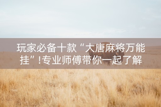 玩家必备十款“大唐麻将万能挂”!专业师傅带你一起了解（详细教程）-知乎