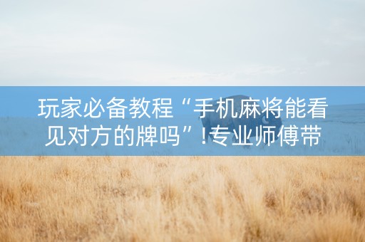 玩家必备教程“手机麻将能看见对方的牌吗”!专业师傅带你一起了解（详细教程）-知乎