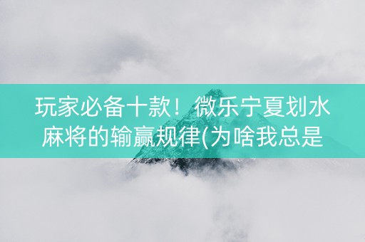 玩家必备十款！微乐宁夏划水麻将的输赢规律(为啥我总是输)
