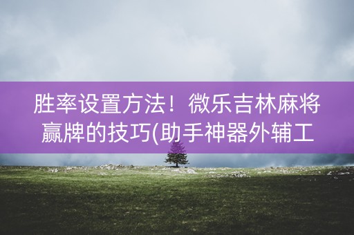 胜率设置方法！微乐吉林麻将赢牌的技巧(助手神器外辅工具)