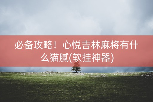 必备攻略！心悦吉林麻将有什么猫腻(软挂神器)