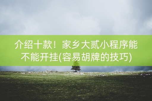 介绍十款！家乡大贰小程序能不能开挂(容易胡牌的技巧)