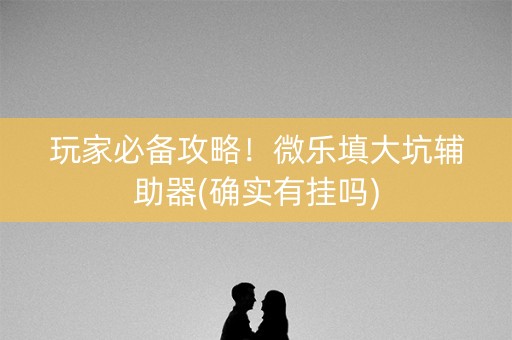 玩家必备攻略！微乐填大坑辅助器(确实有挂吗)