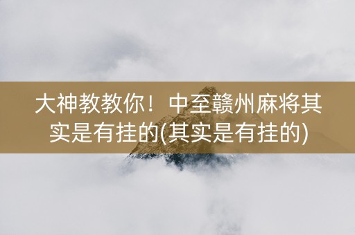 大神教教你！中至赣州麻将其实是有挂的(其实是有挂的)