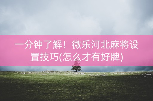一分钟了解！微乐河北麻将设置技巧(怎么才有好牌)