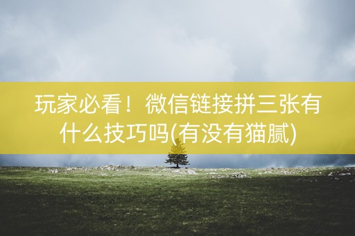 玩家必看！微信链接拼三张有什么技巧吗(有没有猫腻)