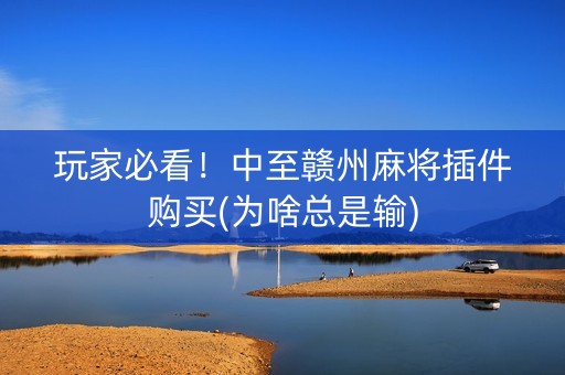 玩家必看！中至赣州麻将插件购买(为啥总是输)