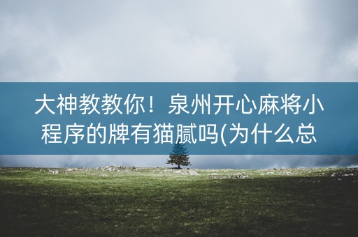 大神教教你！泉州开心麻将小程序的牌有猫腻吗(为什么总是输)