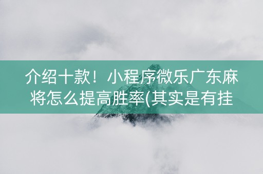 介绍十款！小程序微乐广东麻将怎么提高胜率(其实是有挂的)