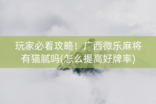 玩家必看攻略！广西微乐麻将有猫腻吗(怎么提高好牌率)