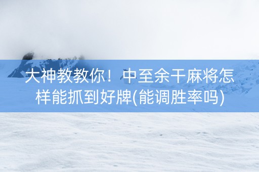 大神教教你！中至余干麻将怎样能抓到好牌(能调胜率吗)