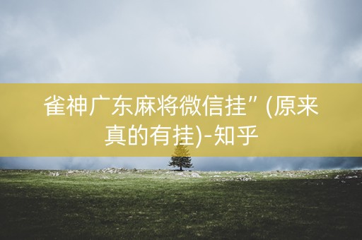 雀神广东麻将微信挂”(原来真的有挂)-知乎