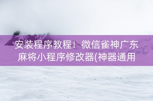 安装程序教程！微信雀神广东麻将小程序修改器(神器通用版)