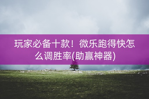 玩家必备十款！微乐跑得快怎么调胜率(助赢神器)