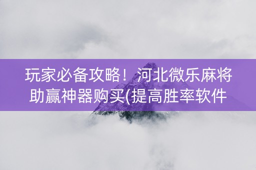 玩家必备攻略！河北微乐麻将助赢神器购买(提高胜率软件)