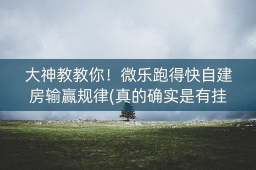 大神教教你！微乐跑得快自建房输赢规律(真的确实是有挂)
