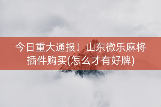今日重大通报！山东微乐麻将插件购买(怎么才有好牌)
