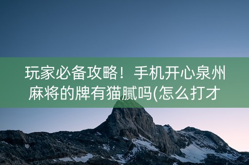 玩家必备攻略！手机开心泉州麻将的牌有猫腻吗(怎么打才会赢)