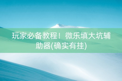 玩家必备教程！微乐填大坑辅助器(确实有挂)