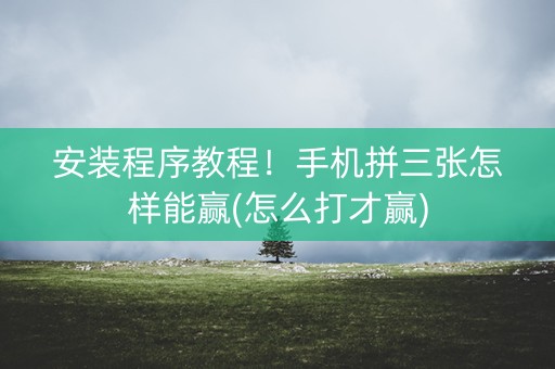 安装程序教程！手机拼三张怎样能赢(怎么打才赢)