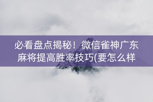 必看盘点揭秘！微信雀神广东麻将提高胜率技巧(要怎么样拿到好牌)