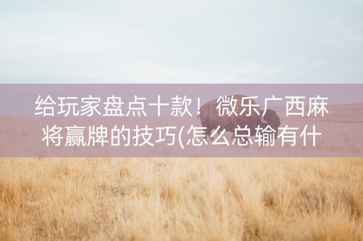 给玩家盘点十款！微乐广西麻将赢牌的技巧(怎么总输有什么猫腻)