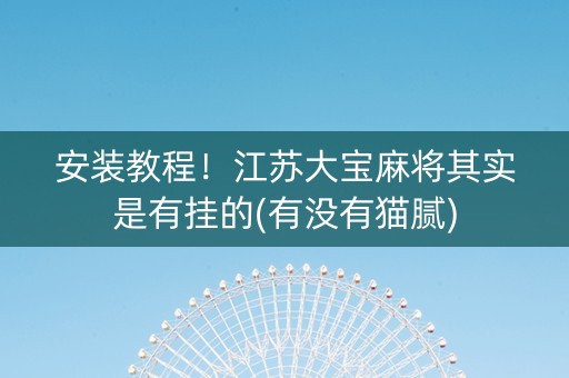 安装教程！江苏大宝麻将其实是有挂的(有没有猫腻)