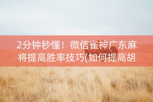 2分钟秒懂！微信雀神广东麻将提高胜率技巧(如何提高胡牌率)