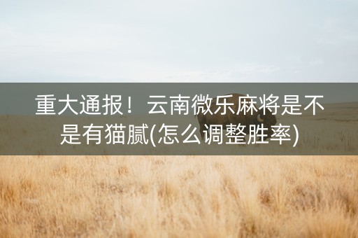 重大通报！云南微乐麻将是不是有猫腻(怎么调整胜率)
