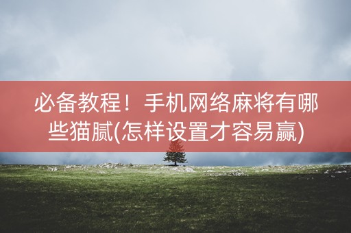 必备教程！手机网络麻将有哪些猫腻(怎样设置才容易赢)