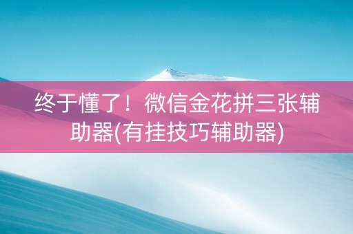 终于懂了！微信金花拼三张辅助器(有挂技巧辅助器)
