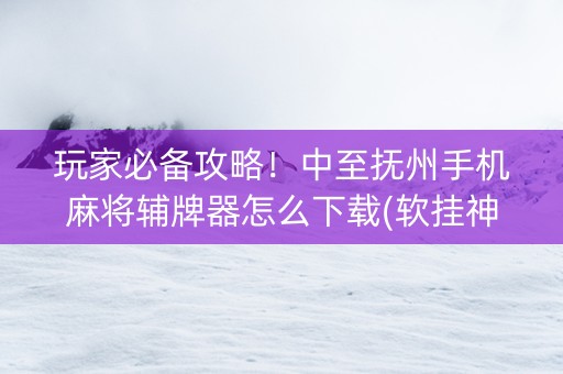 玩家必备攻略！中至抚州手机麻将辅牌器怎么下载(软挂神器)