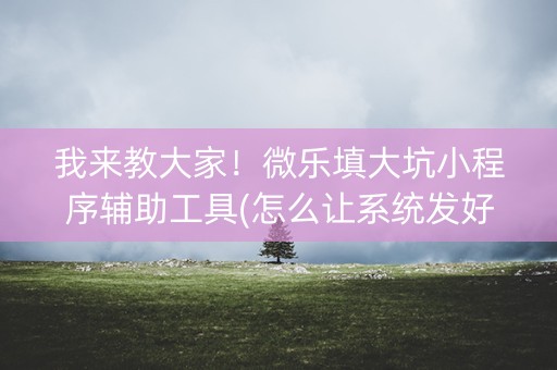 我来教大家！微乐填大坑小程序辅助工具(怎么让系统发好牌)