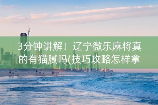 3分钟讲解！辽宁微乐麻将真的有猫腻吗(技巧攻略怎样拿好牌)