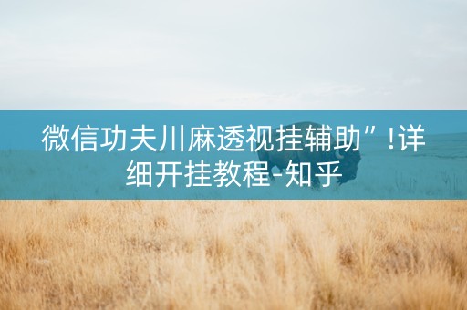 微信功夫川麻透视挂辅助”!详细开挂教程-知乎