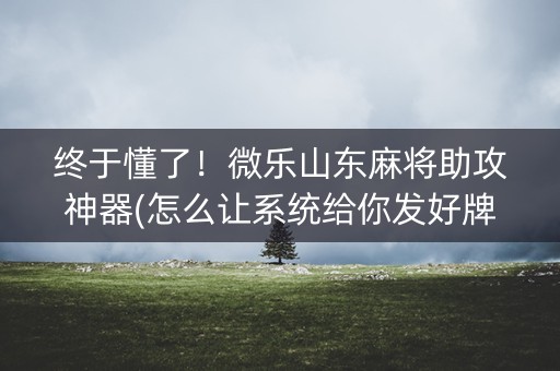 终于懂了！微乐山东麻将助攻神器(怎么让系统给你发好牌)