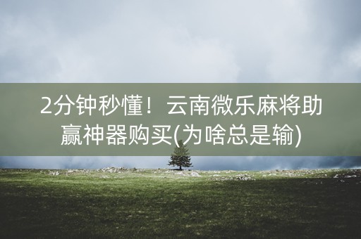 2分钟秒懂！云南微乐麻将助赢神器购买(为啥总是输)