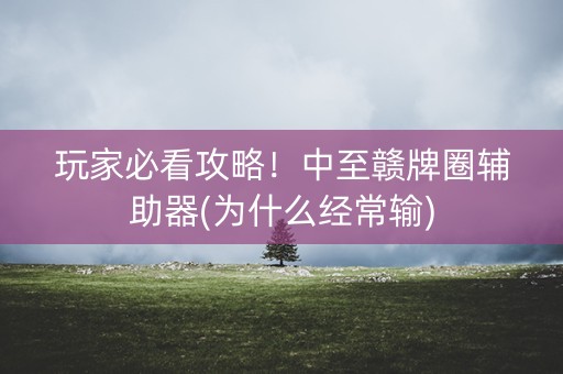 玩家必看攻略！中至赣牌圈辅助器(为什么经常输)
