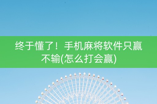 终于懂了！手机麻将软件只赢不输(怎么打会赢)